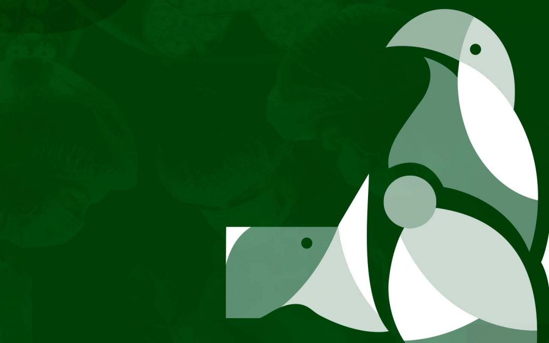 Cruz Verde